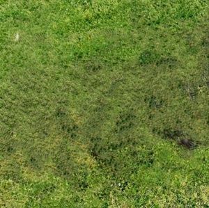 Meet your Posher, Rachel's